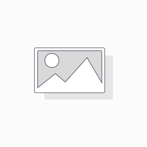 #10 Standard Window Envelope